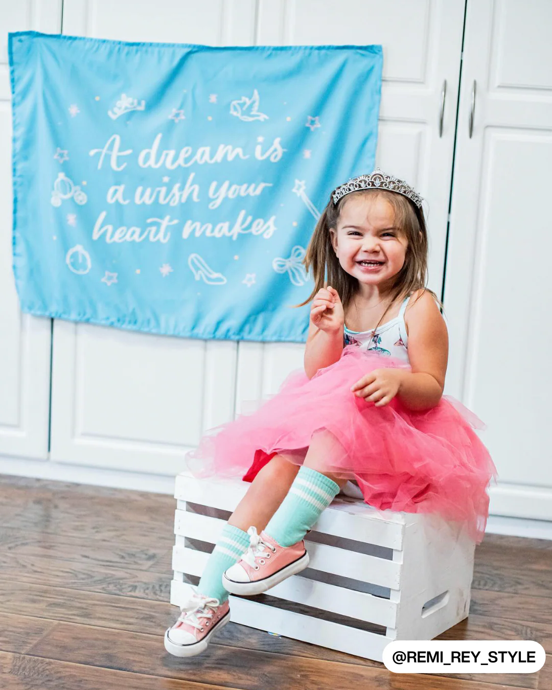 A Dream Is A Wish Your Heart Makes (Blue) Banner - Image 3
